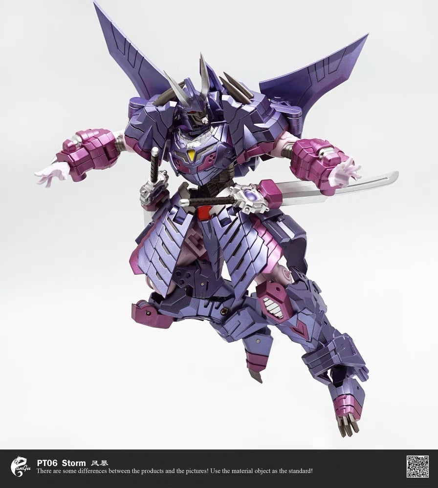 PANGU TOYS PT-06 Storm (Cyclonus)
