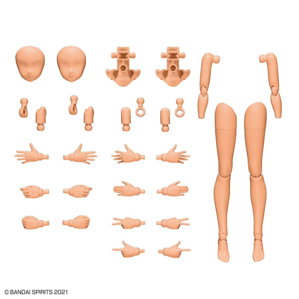 BANDAI 30MS Option Body Parts Arms and Legs (Color C)