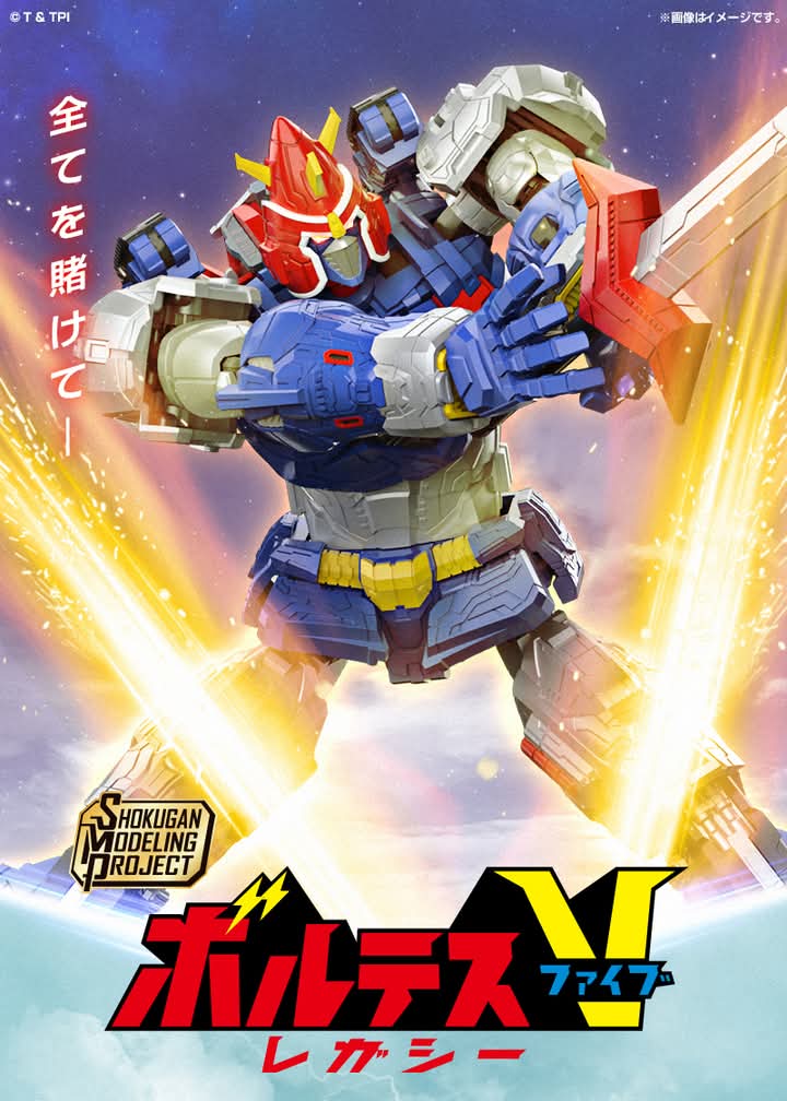 BANDAI SMP Voltes V Legacy
